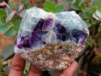 Polished On One Side Watermelon Fluorite Slices x 6 From Uis, Namibia