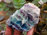Polished On One Side Watermelon Fluorite Slices x 6 From Uis, Namibia