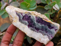 Polished On One Side Watermelon Fluorite Slices x 6 From Uis, Namibia