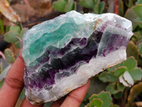 Polished On One Side Watermelon Fluorite Slices x 6 From Uis, Namibia