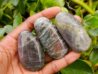 Polished Purple Flash Labradorite Galets x 24 From Tulear, Madagascar