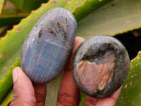 Polished Purple Flash Labradorite Galets x 24 From Tulear, Madagascar