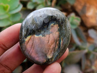 Polished Purple Flash Labradorite Galets x 24 From Tulear, Madagascar