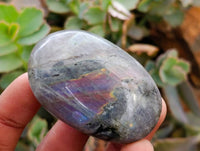 Polished Purple Flash Labradorite Galets x 24 From Tulear, Madagascar