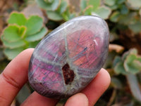 Polished Purple Flash Labradorite Galets x 24 From Tulear, Madagascar
