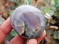 Polished Purple Flash Labradorite Galets x 24 From Tulear, Madagascar