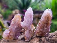 Natural Amethyst Spirit Quartz Clusters x 20 From Boekenhouthoek, South Africa