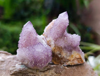 Natural Amethyst Spirit Quartz Clusters x 20 From Boekenhouthoek, South Africa