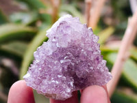 Natural Amethyst Spirit Quartz Clusters x 20 From Boekenhouthoek, South Africa