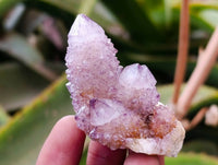Natural Amethyst Spirit Quartz Clusters x 20 From Boekenhouthoek, South Africa