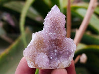 Natural Amethyst Spirit Quartz Clusters x 20 From Boekenhouthoek, South Africa