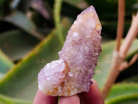 Natural Amethyst Spirit Quartz Clusters x 20 From Boekenhouthoek, South Africa