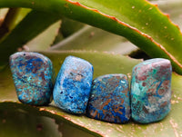 Polished Shattuckite Free Forms x 20 From Congo