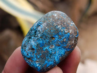 Polished Shattuckite Free Forms x 20 From Congo