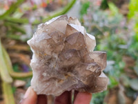 Natural Smokey Phantom Quartz Clusters x 6 From Luena, Congo