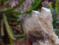 Natural Smokey Phantom Quartz Clusters x 6 From Luena, Congo