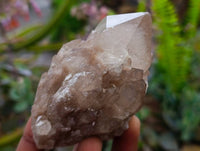 Natural Smokey Phantom Quartz Clusters x 6 From Luena, Congo