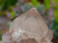 Natural Smokey Phantom Quartz Clusters x 6 From Luena, Congo