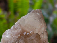 Natural Smokey Phantom Quartz Clusters x 6 From Luena, Congo