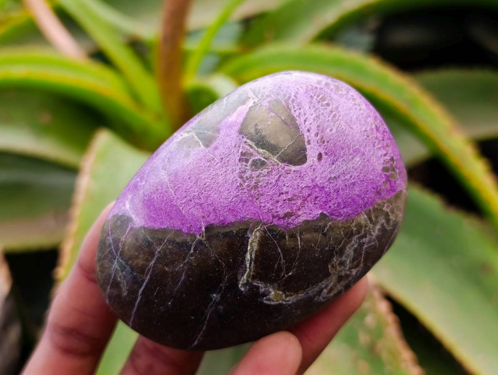Polished Stichtite Palm Stones x 6 From Barberton, South Africa - Toprock Gemstones and Minerals 