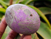 Polished Stichtite Palm Stones x 6 From Barberton, South Africa