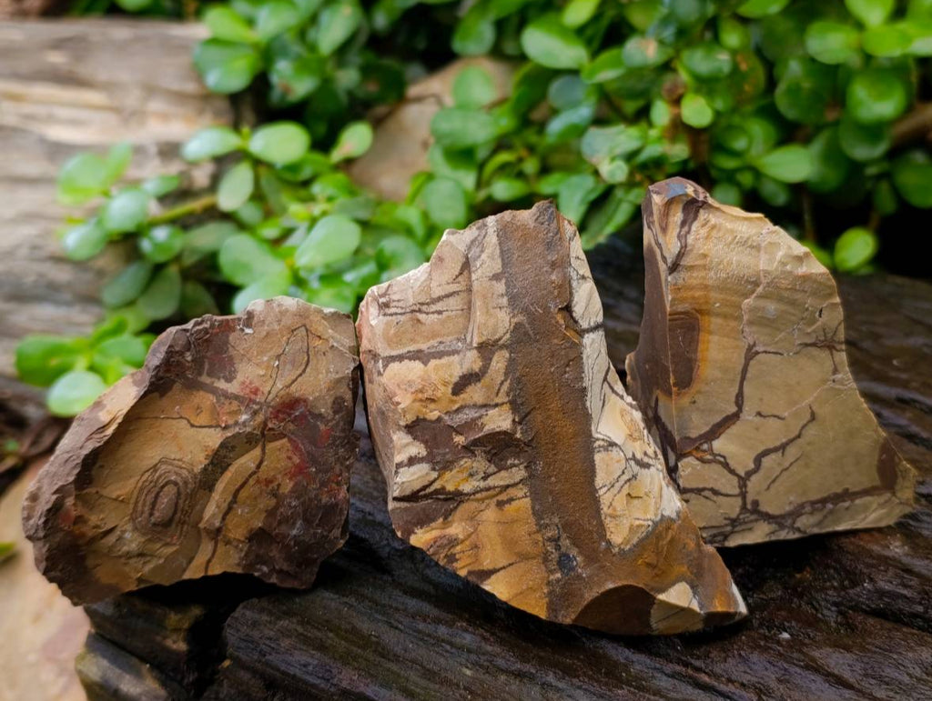 Natural Nguni Jasper Cobbed Specimens x 22 From Northern Cape, South Africa - Toprock Gemstones and Minerals 
