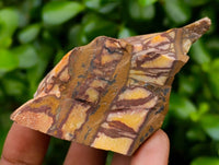 Natural Nguni Jasper Cobbed Specimens x 22 From Northern Cape, South Africa