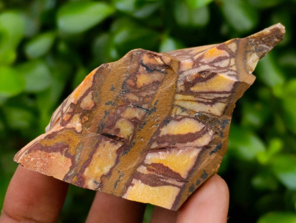 Natural Nguni Jasper Cobbed Specimens x 22 From Northern Cape, South Africa