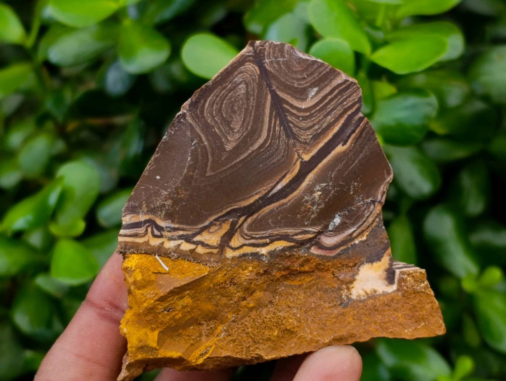 Natural Nguni Jasper Cobbed Specimens x 22 From Northern Cape, South Africa - Toprock Gemstones and Minerals 