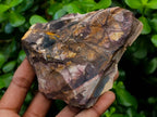Natural Nguni Jasper Cobbed Specimens x 22 From Northern Cape, South Africa - Toprock Gemstones and Minerals 