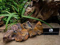Natural Nguni Jasper Cobbed Specimens x 22 From Northern Cape, South Africa