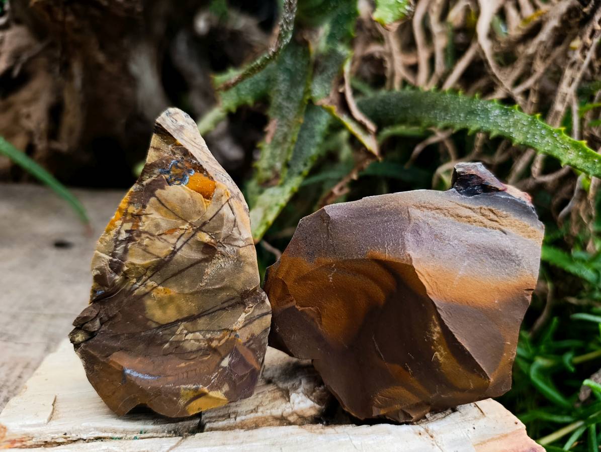 Natural Nguni Jasper Cobbed Specimens x 22 From Northern Cape, South Africa - Toprock Gemstones and Minerals 