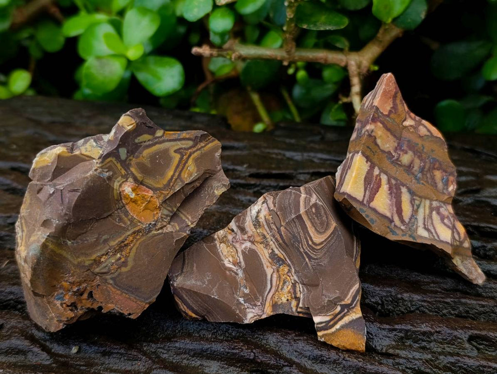 Natural Nguni Jasper Cobbed Specimens x 22 From Northern Cape, South Africa - Toprock Gemstones and Minerals 