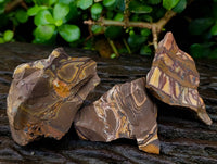 Natural Nguni Jasper Cobbed Specimens x 22 From Northern Cape, South Africa