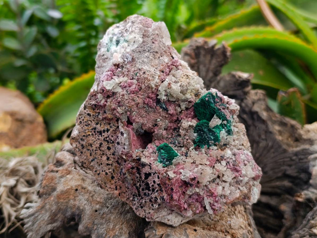 Natural Salrose with Malachite and Heterogenite Specimens x 2 From Kakanda, Congo - Toprock Gemstones and Minerals 