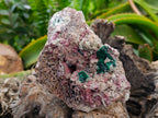 Natural Salrose with Malachite and Heterogenite Specimens x 2 From Kakanda, Congo - Toprock Gemstones and Minerals 