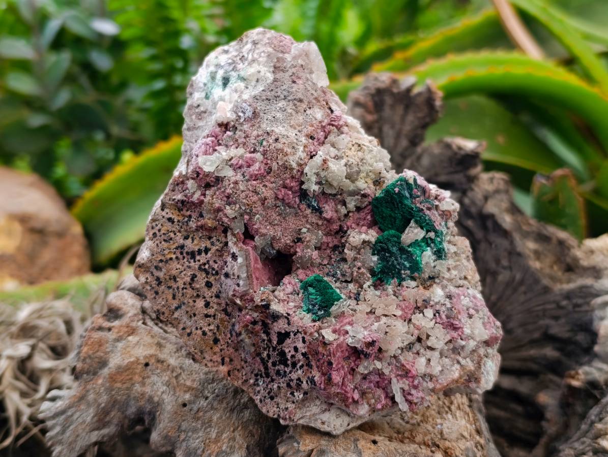 Natural Salrose with Malachite and Heterogenite Specimens x 2 From Kakanda, Congo - Toprock Gemstones and Minerals 