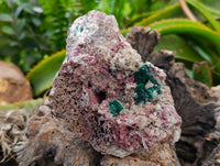 Natural Salrose with Malachite and Heterogenite Specimens x 2 From Kakanda, Congo