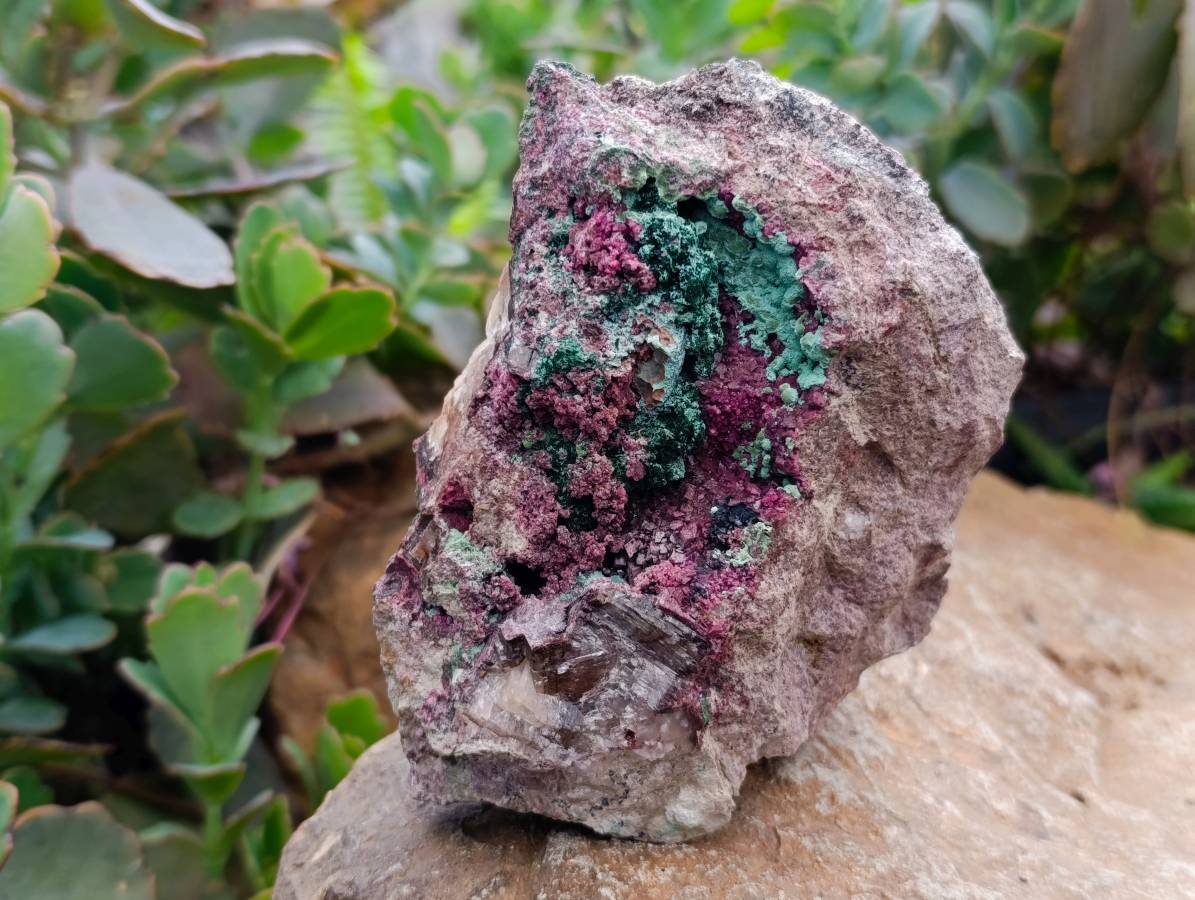 Natural Salrose with Malachite and Heterogenite Specimens x 2 From Kakanda, Congo - Toprock Gemstones and Minerals 