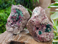 Natural Salrose with Malachite and Heterogenite Specimens x 2 From Kakanda, Congo