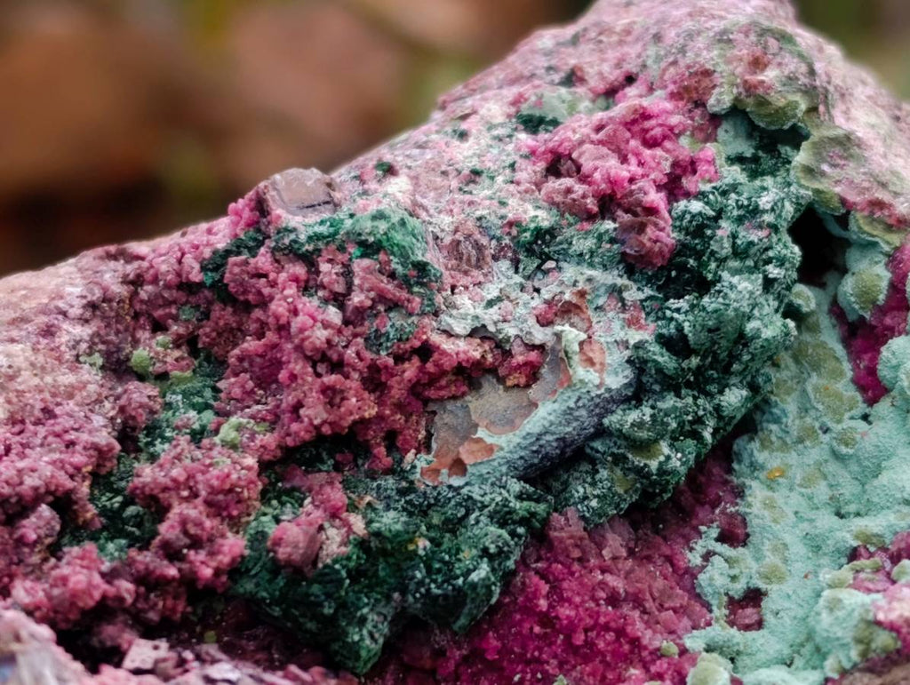 Natural Salrose with Malachite and Heterogenite Specimens x 2 From Kakanda, Congo - Toprock Gemstones and Minerals 