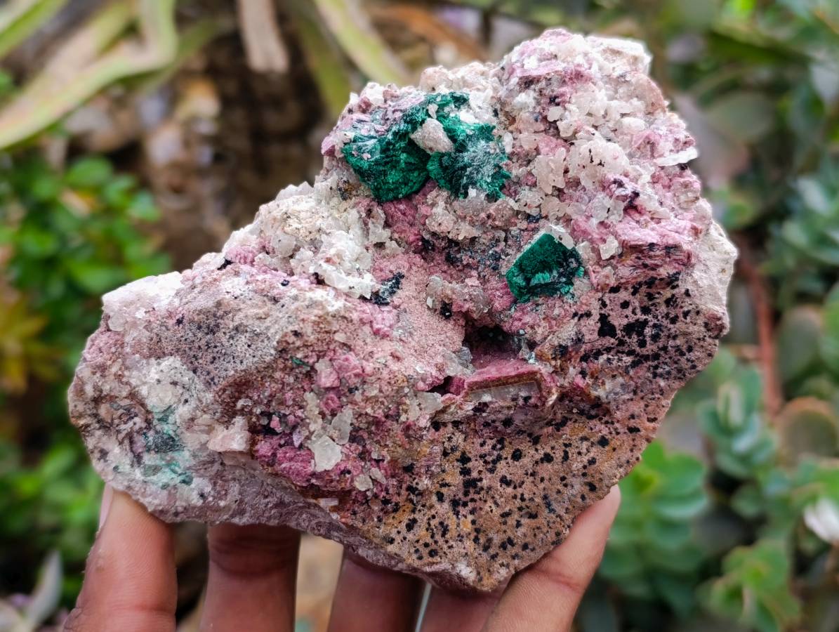 Natural Salrose with Malachite and Heterogenite Specimens x 2 From Kakanda, Congo - Toprock Gemstones and Minerals 