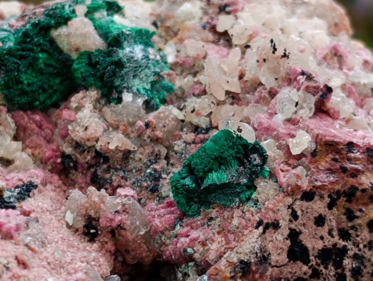 Natural Salrose with Malachite and Heterogenite Specimens x 2 From Kakanda, Congo - Toprock Gemstones and Minerals 