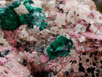Natural Salrose with Malachite and Heterogenite Specimens x 2 From Kakanda, Congo