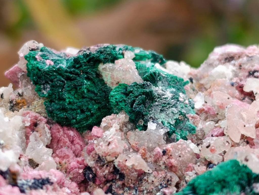 Natural Salrose with Malachite and Heterogenite Specimens x 2 From Kakanda, Congo - Toprock Gemstones and Minerals 