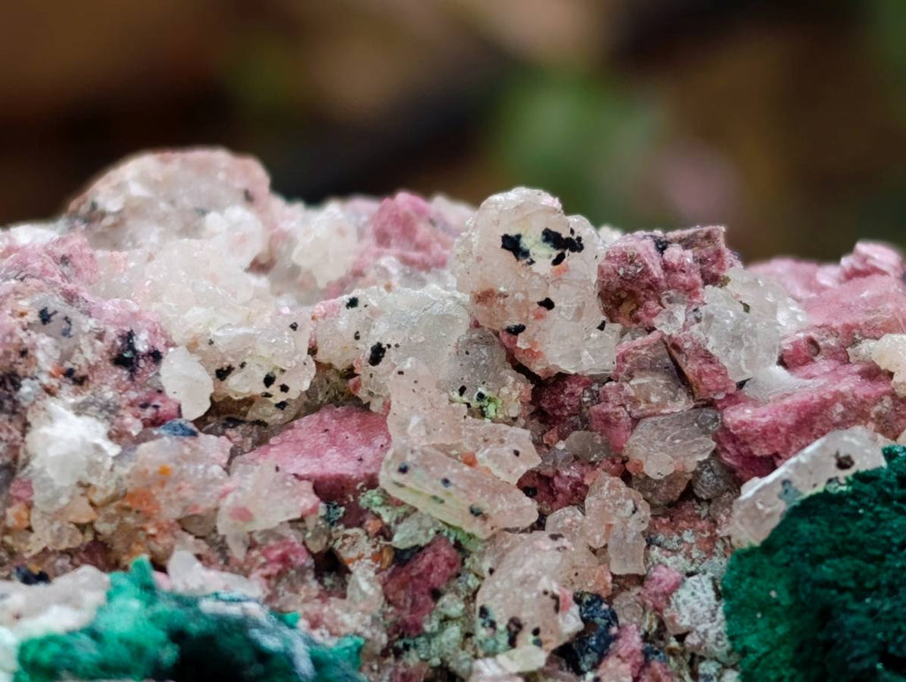 Natural Salrose with Malachite and Heterogenite Specimens x 2 From Kakanda, Congo - Toprock Gemstones and Minerals 