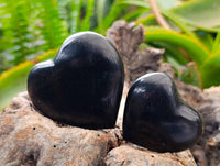 Polished Black Basalt Hearts x 12 From Madagascar