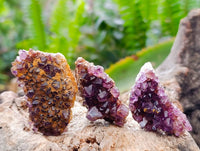 Natural Amethystos Amethyst Clusters x 66 From Kwaggafontein, South Africa