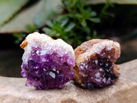 Natural Amethystos Amethyst Clusters x 66 From Kwaggafontein, South Africa