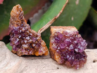 Natural Amethystos Amethyst Clusters x 66 From Kwaggafontein, South Africa